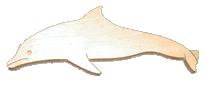 Wood Dolphin